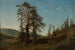 À Vingersheia, Telemark - Amaldus Nielsen — vista dell’opera