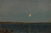 Mneskinn Hvaler - Amaldus Nielsen — vista dell’opera