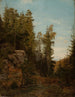 Service forestier Bjelland Mandal - Amaldus Nielsen — vista dell’opera