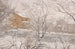 Neve vista dalla finestra dell'atelier - Amaldus Nielsen — vista dell’opera