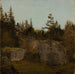 Studio di Pierre Bjelland Mandal - Amaldus Nielsen — vista dell’opera