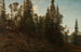 Vingersheia Telemark - Amaldus Nielsen — vista dell’opera