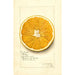 Riproduzione del dipinto Citrus paradisi Navel - Amanda Almira Newton