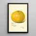 Riproduzione del dipinto Citrus paradisi Silver Cluster - Amanda Almira Newton