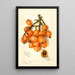Riproduzione del dipinto Eriobotrya japonica Baronne Hall - Amanda Almira Newton