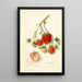 Fragaria Dole - Amanda Almira Newton — quadro incorniciato alla parete