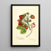 Riproduzione del dipinto Fragaria James Todd - Amanda Almira Newton