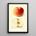 Malus domestica Banana - Amanda Almira Newton — quadro incorniciato alla parete