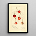 Riproduzione del dipinto Prunus avium Centennial - Amanda Almira Newton