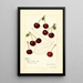 Prunus avium Suda - Amanda Almira Newton — quadro incorniciato alla parete