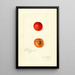 Riproduzione del dipinto Prunus domestica Wild Goose - Amanda Almira Newton