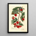 Rubus - Amanda Almira Newton — quadro incorniciato alla parete