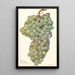 Riproduzione del dipinto Vitis Almeria - Amanda Almira Newton