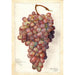 Vitis Angelina - Amanda Almira Newton — vista dell’opera