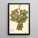 Vitis Muscat d'Alexandrie - Amanda Almira Newton — quadro incorniciato alla parete