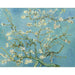 Riproduzione del dipinto Albicocco in fiore - Vincent Van Gogh