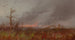 Fuoco della foresta - Scuola Americana — vista dell’opera