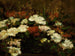 Nature morte con fiori - Scuola Americana — vista dell’opera
