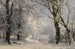 Foresta in inverno - Anders Andersen-Lundby — vista dell’opera
