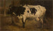 Vache - André Plumot — vista dell’opera