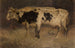 Vaches - André Plumot — vista dell’opera