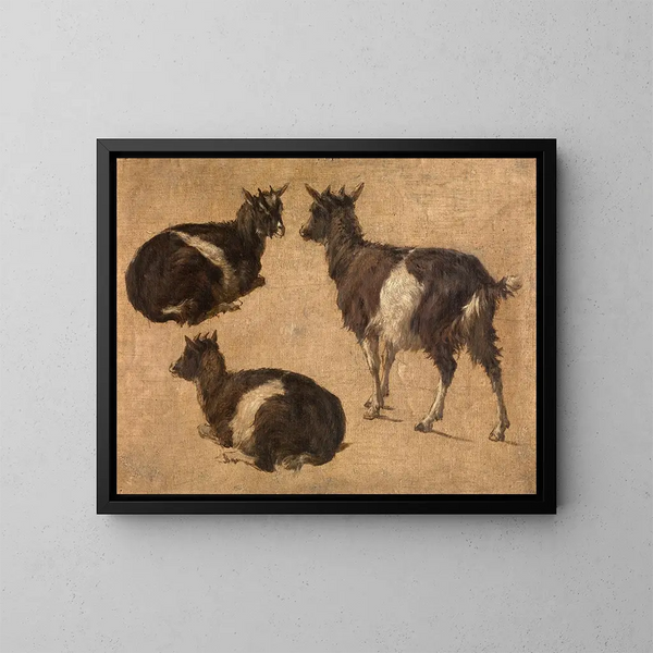 Capre - André Plumot — quadro incorniciato alla parete