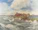 Bocca della Meuse a Willemstadt di fronte a Dordrecht - Andreas Dirks — vista dell’opera