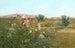Giardino con donna - Angiolo Tommasi — vista dell’opera