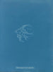 Batrachospermum alpestre - Anna Atkins — vista dell’opera