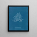Rose di Callithamnion - Anna Atkins — quadro incorniciato alla parete