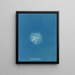 Callithamnion roseum - Anna Atkins — quadro incorniciato alla parete