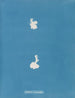 Calothrix cresswelliae - Anna Atkins — vista dell’opera