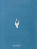 Calothrix distortiona - Anna Atkins — vista dell’opera