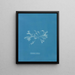 in ceramica smaltata - Anna Atkins — quadro incorniciato alla parete