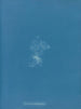 Tetto in ceramica - Anna Atkins — vista dell’opera