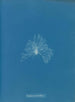 Una ceramica impermeabile - Anna Atkins — vista dell’opera