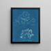 Chondrus membranifolius - Anna Atkins — quadro incorniciato alla parete