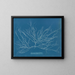 Chordaria flagelliformis - Anna Atkins — quadro incorniciato alla parete