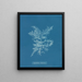 Chylocladia califormis - Anna Atkins — quadro incorniciato alla parete