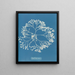 Chylocladia ovalis - Anna Atkins — quadro incorniciato alla parete