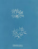 Chylocladia reflexa - Anna Atkins — vista dell’opera