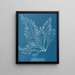 Cystoseira granulata - Anna Atkins — quadro incorniciato alla parete