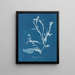 Delesseria sanguinea en fruit - Anna Atkins — quadro incorniciato alla parete
