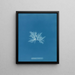 Delesseria sinuosa var. - Anna Atkins — quadro incorniciato alla parete