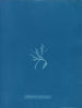 Ectocarpus brachiatus - Anna Atkins — vista dell’opera