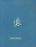 Ectocarpus littoralis - Anna Atkins — vista dell’opera