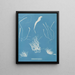 Enteromorpha compressa - Anna Atkins — quadro incorniciato alla parete