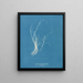 Enteromorpha compressa - Anna Atkins — quadro incorniciato alla parete