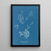 Riproduzione del dipinto Exilaria crystallinum parasitico - Anna Atkins