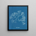 Fucus Machaii - Anna Atkins — quadro incorniciato alla parete